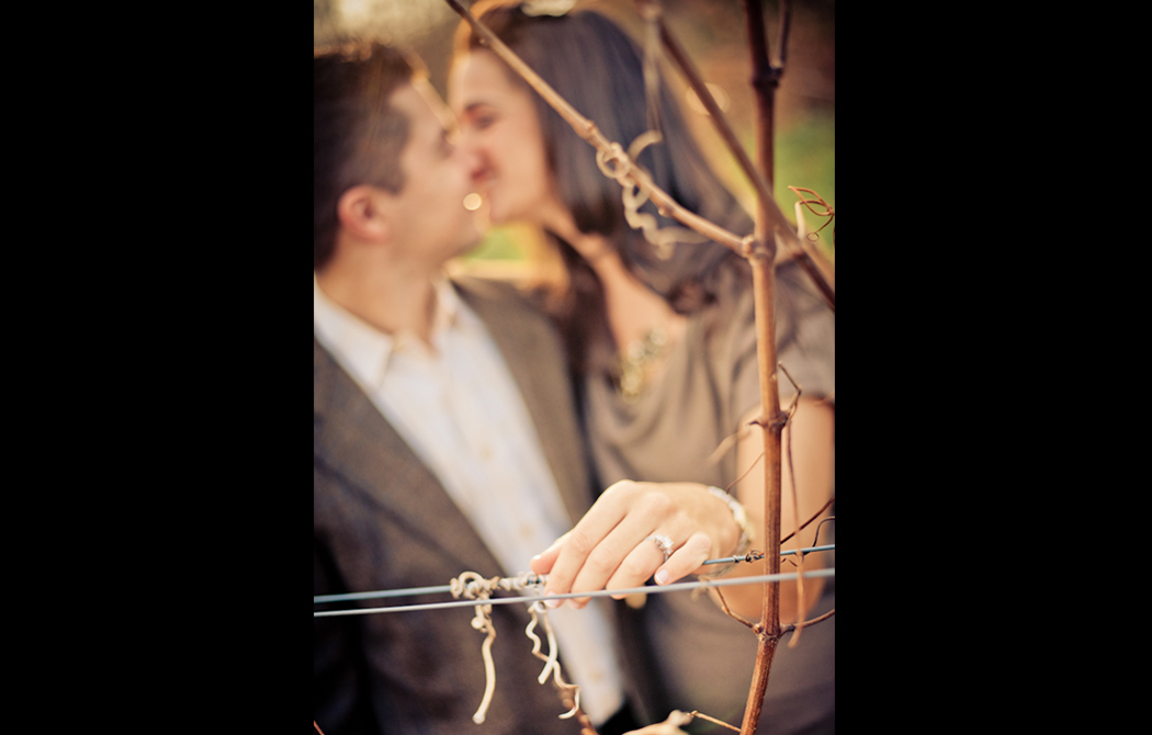 Vineyard Engagement new York