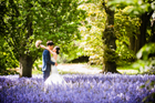 Brooklyn Botanical Garden Wedding