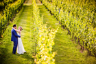 Bedell Cellars Winery Wedding