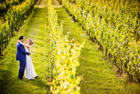 Bedell Cellars Winery Wedding