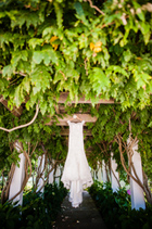 Bedell Cellars Wedding